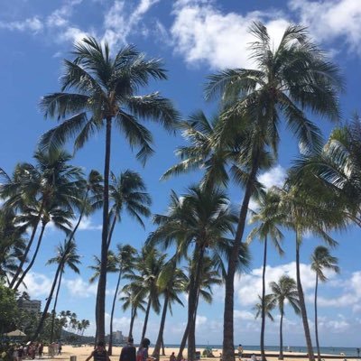 Profile Picture of Lana Al Battal (@LanaM2011) on Twitter