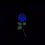 Profile Picture of Achu George ✨ (@achu_george) on Instagram