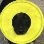 Profile Picture of Kevin Tackleberry Burket (@kevin.burket) on Instagram