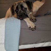 Profile Picture of Misty Lancaster (@misty-lancaster-7) on Quora