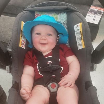 Profile Picture of Lisa Streeter (@CoastalHouseK) on Twitter