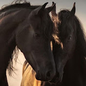 Profile Picture of Antonio Ramos (@AntonioRamos-xk5fg) on Youtube