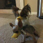 Profile Picture of YOONHEE CHOI (@yheesk) on Instagram