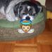 Profile Picture of Joe Riggio (@joe.riggio.14) on Facebook