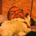 Profile Picture of Timothy Wolff (@timothy.wolff.98) on Facebook