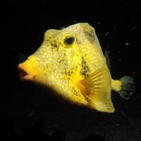 Profile Picture of Jim Tyler (@jim-tyler-17) on Quora