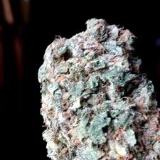 Profile Picture of Lt. Blaze (@MarcusMacdonald) on Twitter