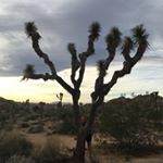 Profile Picture of Marisa Keene (@marisa_keene) on Instagram