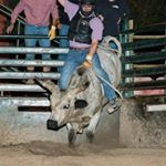 Profile Picture of Rene 