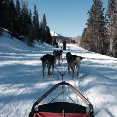 Profile Picture of Anne DeBruin Sample (@Sample_Anne_OSU) on Twitter