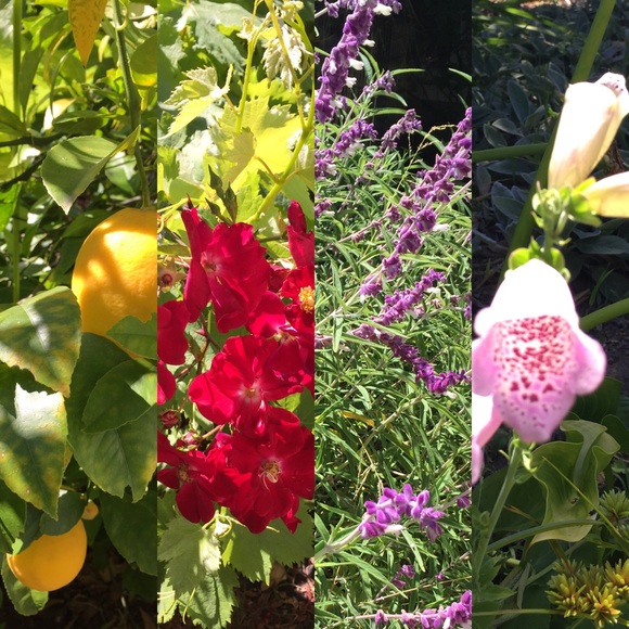 Ellen Seebold - Poshmark Profile Picture of Ellen Seebold (@eseebold) on Poshmark