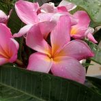 Maria Selby - Facebook Profile Picture of Maria Selby (@maria.selby.9) on Facebook