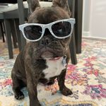 Profile Picture of Justin Dasher (@jdash51) on Instagram