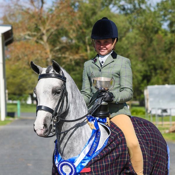 Profile Picture of Mikayla Wildermoth (@horseygirl0) on Tiktok