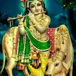 Profile Picture of Smitha.s.pillai (@smitha.s.pillai) on Instagram