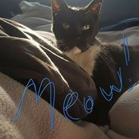 Profile Picture of Jess Sheehan (@jess-sheehan-7) on Quora