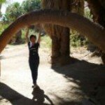 Profile Picture of Janet Chan (@ls_janetchan) on Instagram