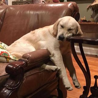 Profile Picture of Cora Leung (@coraleung_) on Instagram