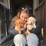 Profile Picture of Carly Phelps (@carlycphelps) on Instagram