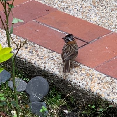 Zulma Alvarado - Twitter Profile Picture of Zulma Alvarado (@ZulmaAl75927140) on Twitter