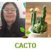 Profile Picture of Aurea Ramos (@@aurearamos6) on Tiktok