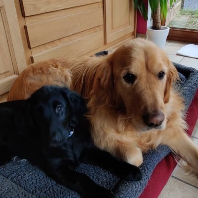 Profile Picture of Thomas Chavanne (@ChavanneThomas) on Twitter