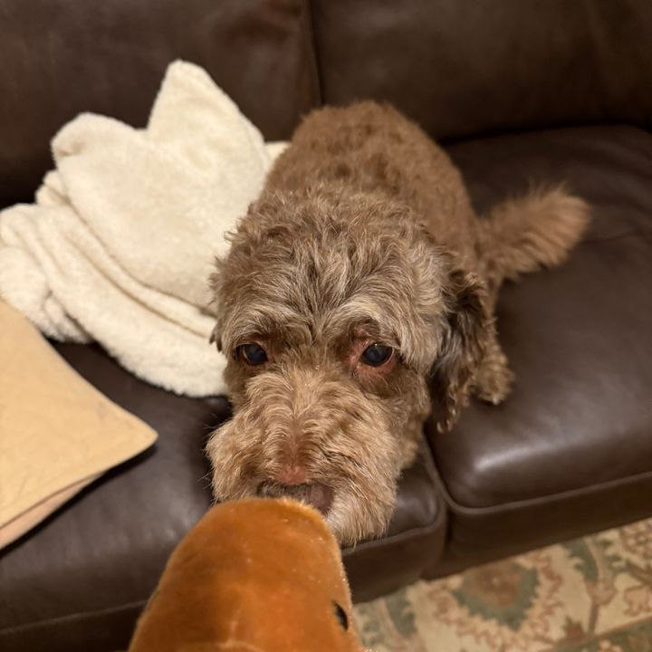 Profile Picture of calvin (@chronnyyyyy) on Tiktok