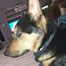 Profile Picture of Jason Mohr (@jason.mohr.1612) on Facebook