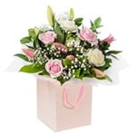 Mike Christian - Instagram Profile Picture of Mike Christian (@mchristian2020) on Instagram