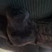 Profile Picture of Amanda Reimer (@ajreimer3795) on Pinterest