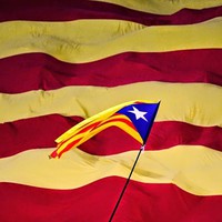 Vinnie Robert - Quora Profile Picture of Vinnie Robert (@vinnie-robert) on Quora