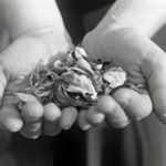 Profile Picture of lucy cobb (@lucy_pottery) on Instagram