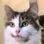 Profile Picture of Dale__Rutan (@dale.r44) on Instagram