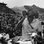 Leo Kinsella - Instagram Profile Picture of Leo Kinsella (@leo.a.kinsella) on Instagram