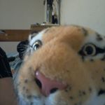 alex wrenn - Instagram Profile Picture of alex wrenn (@alexwre) on Instagram