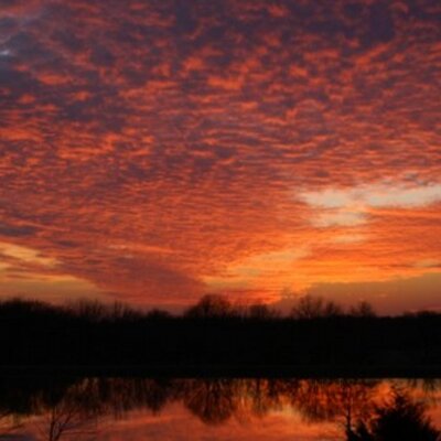 Profile Picture of Leonard Naugle (@LenthePizzaMan) on Twitter