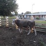 Profile Picture of Damian Sandoval (@damian.sandoval.7140) on Instagram