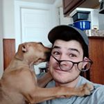 Profile Picture of David Cotrone (@davidrotini) on Instagram