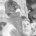 Profile Picture of Adam Dearman (@adam.dearman.77) on Facebook