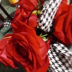 Profile Picture of Hubert Hodge (@Hubert-Hodge) on Facebook