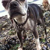 Profile Picture of Jeff Arrington (@jeff-arrington-2) on Quora