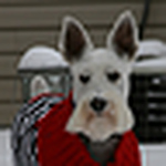 Profile Picture of Bob Legan (@robertlegan@att.net) on Flickr