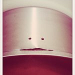 Profile Picture of Daniel Anttila (@danttila) on Instagram