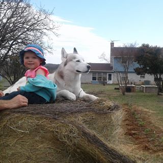 Profile Picture of Buddy Grimes (@buddy.grimes.9231) on Facebook