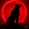Profile Picture of Buddy Wolfe755 (@@b_wolfe_115) on Tiktok
