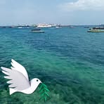 Profile Picture of Adam Zubeir (@Adam-Zubeir) on Facebook