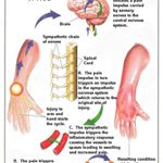 Profile Picture of steve monaco (@monacosteve) on Instagram
