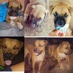 Profile Picture of Frede e Nulle (@frede_e_nulle) on Instagram