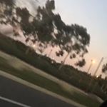 Profile Picture of AlexMorelli (@alexmorelli4134) on Instagram