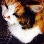 Profile Picture of Lucie Laviolette (@lucie.laviolette.526) on Facebook